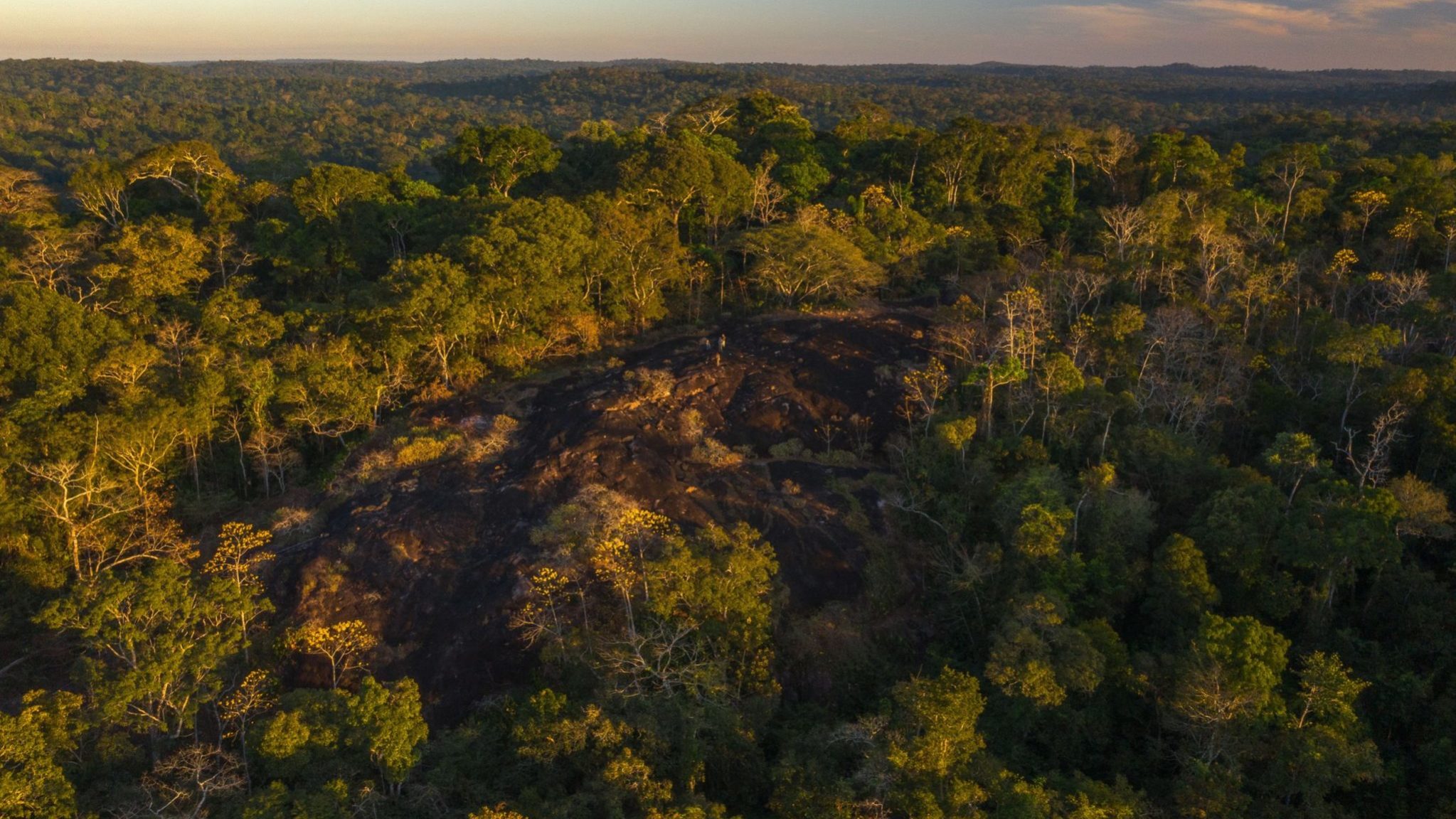 Carta na Science alerta que anulação da criação de parque pela Justiça de  Mato Grosso agrava crise climática - Jornal Opção