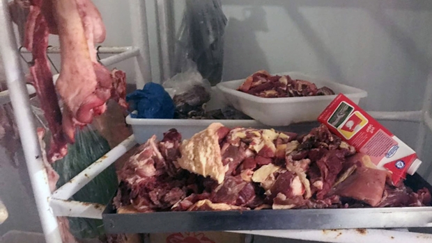 Operação conjunta apreende quatro toneladas de carne de cavalo em