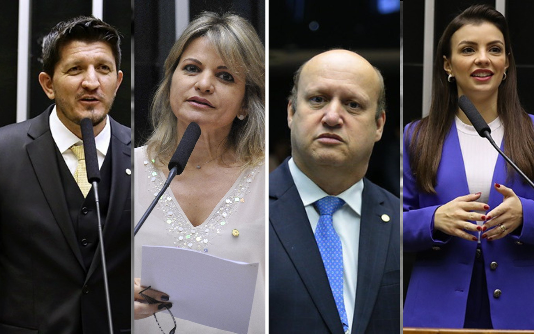 Veja Como Os Deputados De Goiás Votaram Na Reforma Tributária - Jornal ...